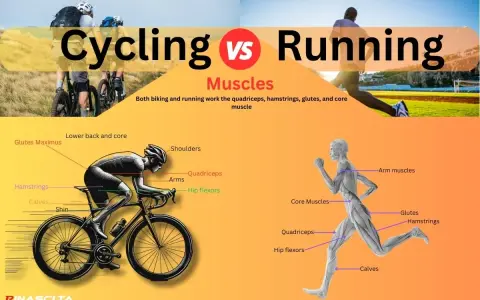 Cycling vs Running: A visual comparison of muscle groups used in both activities, highlighting how biking and running engage similar core muscles.