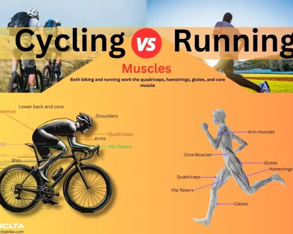 Cycling vs Running: A visual comparison of muscle groups used in both activities, highlighting how biking and running engage similar core muscles.