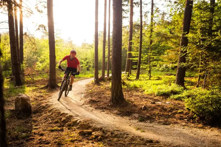 A person on a mountain bike navigates a sun-dappled forest trail, perfect for mountain biking for beginners.